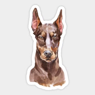 Red Doberman Sticker